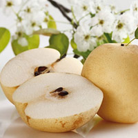 Lê có tác dụng rất hiệu quả trong việc chữa bệnh đường hô hấp (nguồn ảnh: internet)