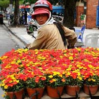 Thời trang lạ