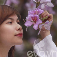 Đẹp trong mùa hoa ban