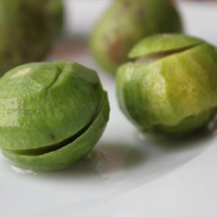 Chọn sấu ngon hơn nhờ mẹo (ảnh minh họa)