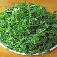 Người bị chứng huyết áp cao thì không nên dùng ngải cứu.