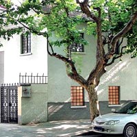 Cây trước cửa (ảnh minh họa)