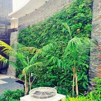 Bức tường ấn tượng