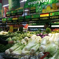 Các mẫu cải thảo ở 3 miền không có chất ướp xác