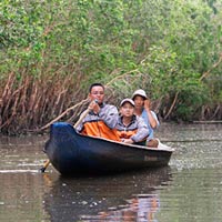 Rừng Tràm