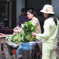 Mua rau (ảnh minh họa)