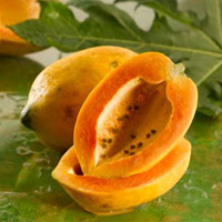 Đu đủ có khả năng trừ hôi miệng