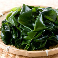 Hàm lượng iốt trong tảo bẹ cao nhấ