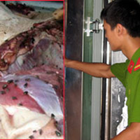 2 tạ thịt lợn thối được phát hiện