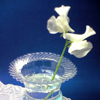 Lọ hoa độc đáo