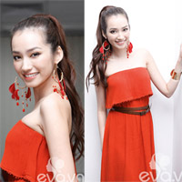 Hoa hậu Trúc Diễm