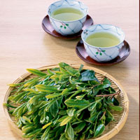 Bảo quản chè đúng cách