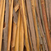 Quế có rất nhiều công dung trong cuộc sống hàng ngày. (Ảnh minh họa)