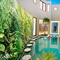 Bức tường cây xanh
