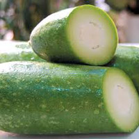 Bí đao trị tiểu đường (Ảnh minh họa)