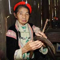 Những vị thuốc bà Xa chữa bệnh vô sinh.