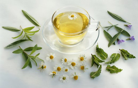 Hé mở bí mật của nước trà xanh - 1