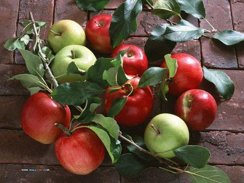 Ăn gì để giảm mỡ bụng sau khi sinh? - 2