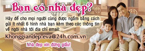 Ca sĩ Ngọc Sơn và biệt thự 5 triệu đôla - 2