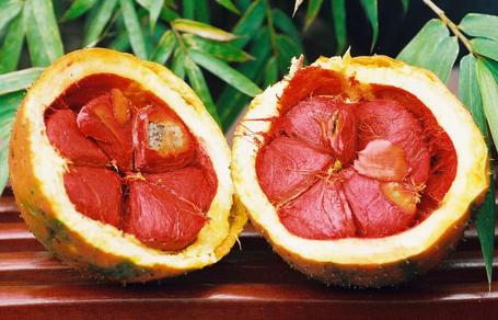 Tác dụng đặc biệt của trái gấc - 1