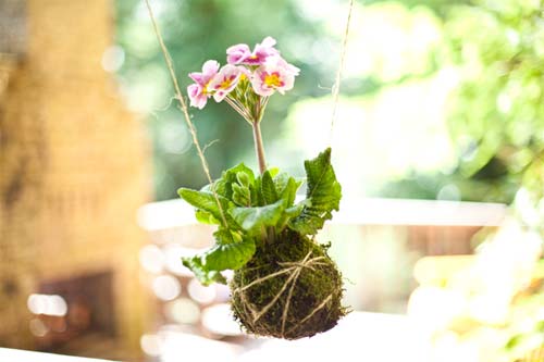 Khéo tay: Hoa treo độc đáo bên cửa sổ - 10