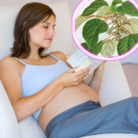 Là Con Gái Thật Tuyệt (Nhạc và lời Lê Cát Trọng Lý