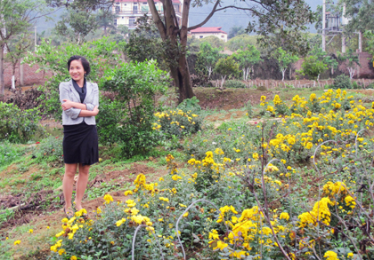 Soi biệt thự "xanh mướt" của Mỹ Linh - 20