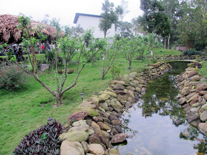 Soi biệt thự "xanh mướt" của Mỹ Linh - 9