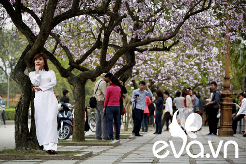 Yêu lắm, mùa hoa ban đến... - 11