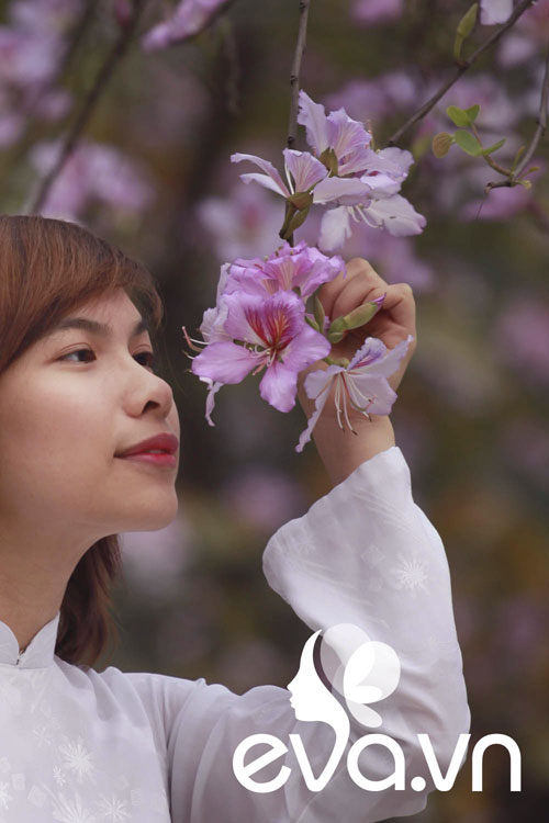 Yêu lắm, mùa hoa ban đến... - 12