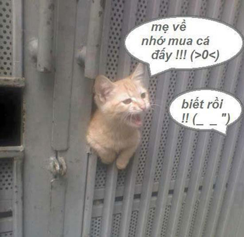 phut 'nguy hiem' cuc hai cua dong vat - 3