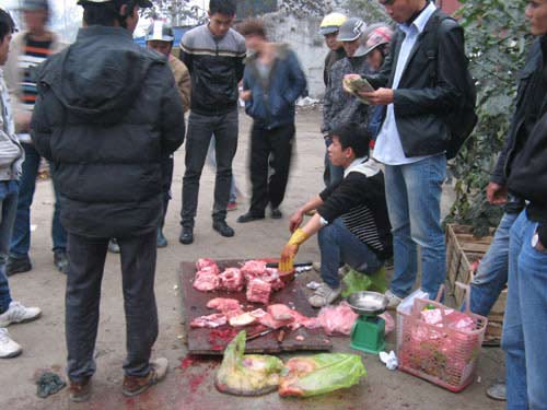 thit ca sau ban via he dat khach - 4