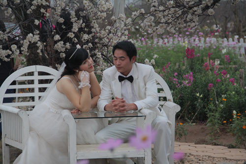 vuon hoa bach nhat hut khach ngay xuan - 7
