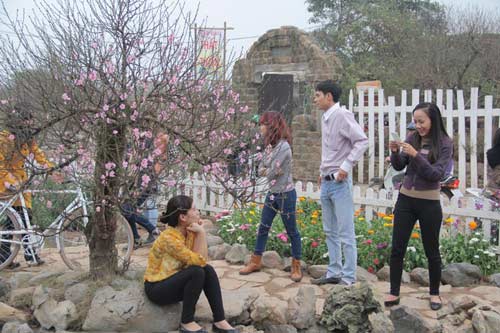 vuon hoa bach nhat hut khach ngay xuan - 3