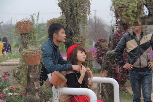vuon hoa bach nhat hut khach ngay xuan - 10