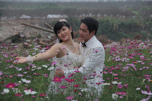 vuon hoa bach nhat hut khach ngay xuan - 6