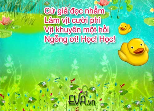 me ke con nghe: "vit va ngong" - 2