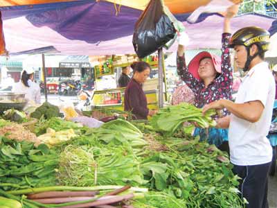 giap tet, rau xanh giam gia manh - 1