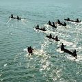 Đi đâu - Xem gì - Ngoạn cảnh sông Đắk Bla ở Tây Nguyên