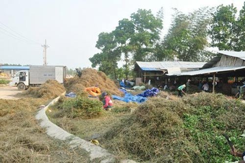 do xo di nho ca gai ban cho trung quoc - 3