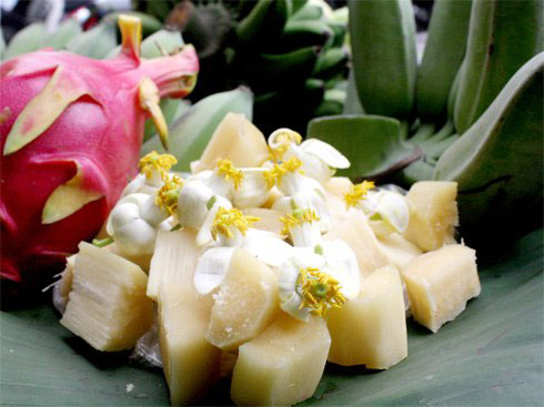 me dam dang tu lam nuoc hoa buoi - 1