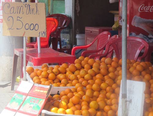 cam trung quoc “doi lot” cam vinh - 2