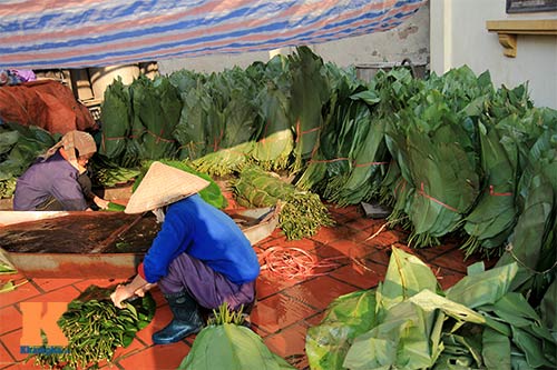 lang 'xuat khau' banh chung tat bat dip tet - 1