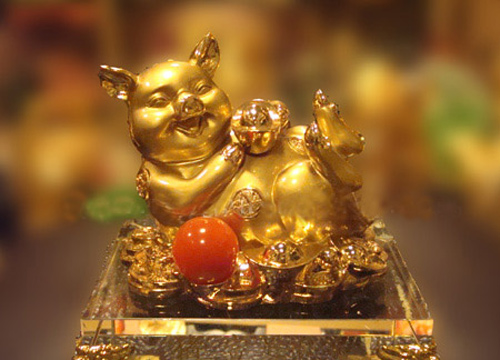 tu vi tuoi hoi nam giap ngo 2014 - 3