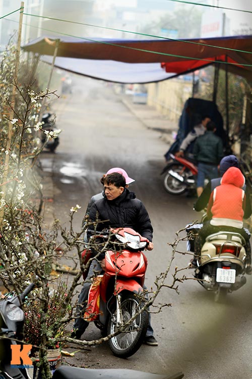 ngam hoa le no trang muot giua long hn - 6
