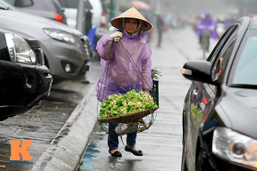 chum anh: ha noi nong nan huong buoi thang ba - 11