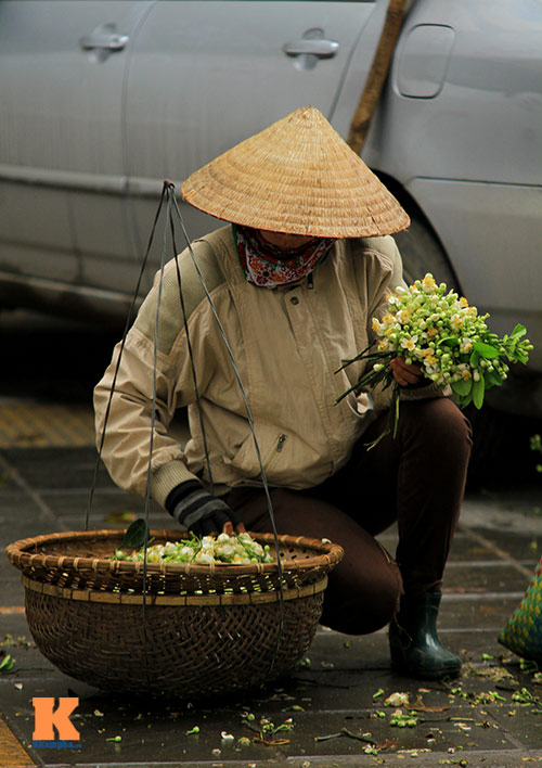 chum anh: ha noi nong nan huong buoi thang ba - 16
