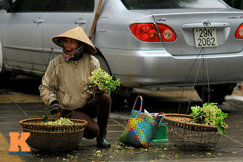 chum anh: ha noi nong nan huong buoi thang ba - 14