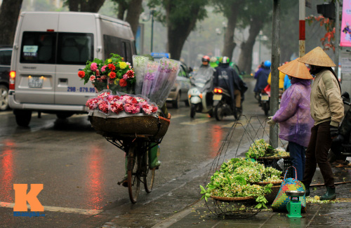 chum anh: ha noi nong nan huong buoi thang ba - 10