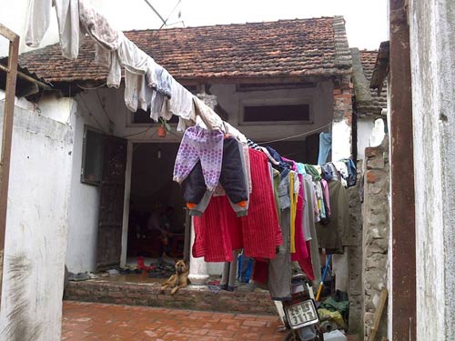 45 tuoi lan loi xuc tep nuoi 14 con - 6